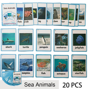 Children Baby English Learning Word Card Pocket Flash  Learning Montessori Educational Toys Word Table Game Card for kids