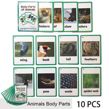 Load image into Gallery viewer, Children Baby English Learning Word Card Pocket Flash  Learning Montessori Educational Toys Word Table Game Card for kids